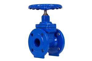 Globe Valve